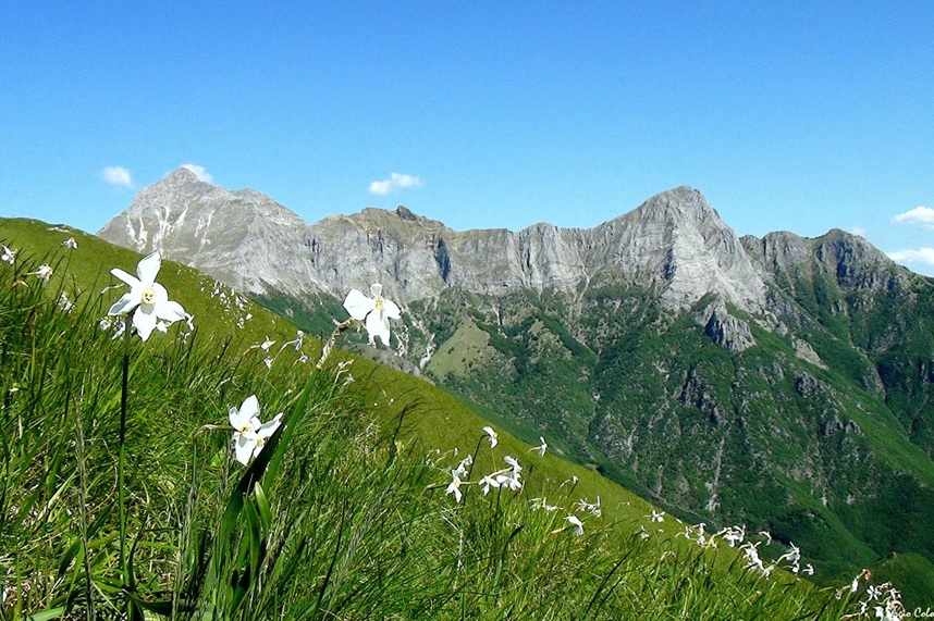 Alpi Apuane